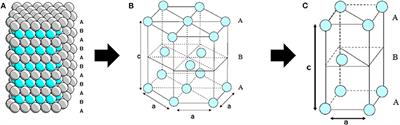 Lactic Acid Conversion to Acrylic Acid Over Fluoride-Substituted Hydroxyapatites